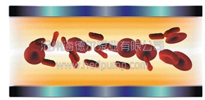 HDP系列海德爾泵