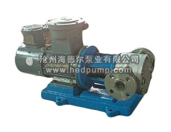 上海HXB系列星型不銹鋼保溫齒輪泵