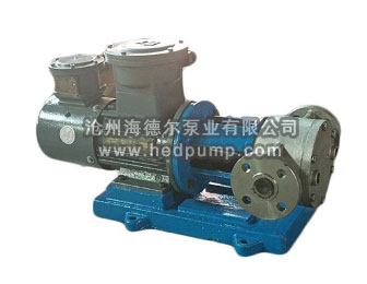 上海HX系列星型不銹鋼齒輪泵